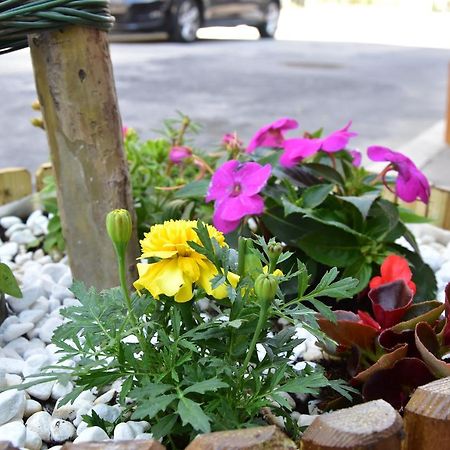 Hotel Crisvan Римини Екстериор снимка